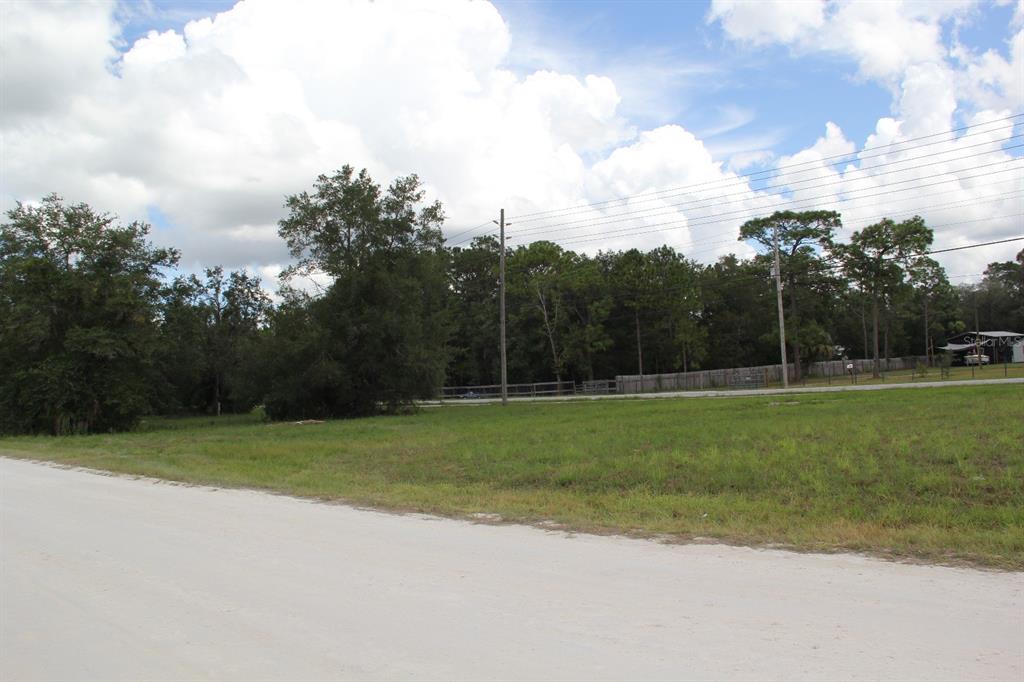 A grassy, vacant lot sits beside a dirt road with trees and utility poles nearby — 5140 MIAMI AVENUE, BROOKSVILLE, FL