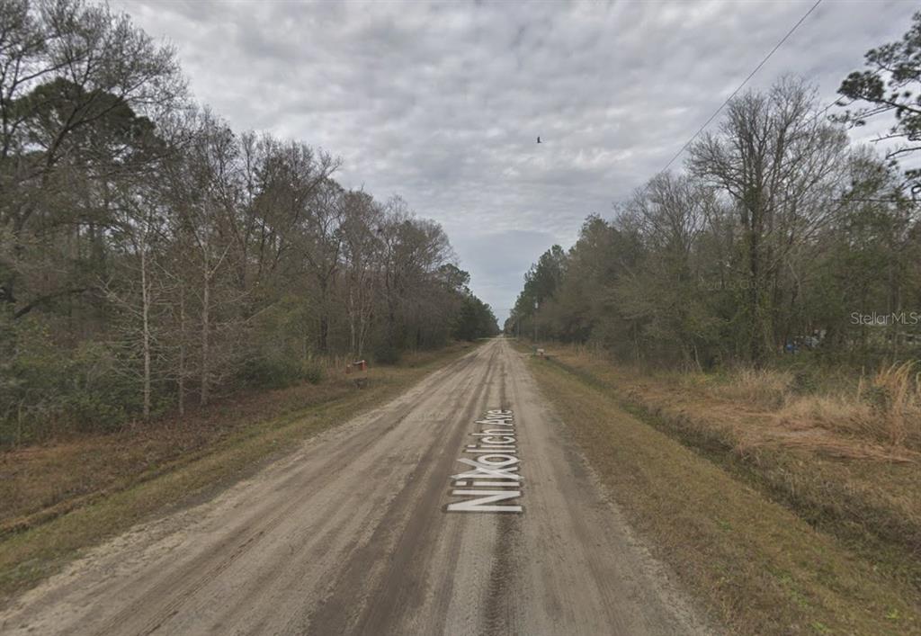 A dirt road stretches through a wooded area under a cloudy sky — 10135 NIKOLICH AVENUE, HASTINGS, FL