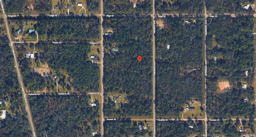 This is an aerial map showing a red pin marking a vacant wooded lot — 10135 NIKOLICH AVENUE, HASTINGS, FL