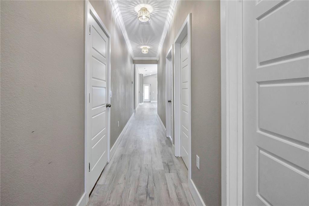 A long hallway features light wood-look flooring, gray walls, white doors, and two ceiling lights — 231 E LAFAYETTE STREET, WINTER GARDEN, FL