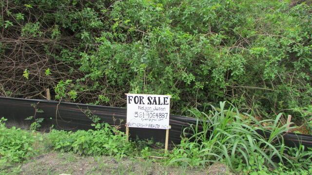 A for sale sign stands in front of a dense, overgrown brush area — 16750 SW Conners Highway, Okeechobee FL 34974, OKEECHOBEE, FL