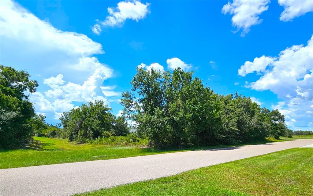 A paved road runs alongside a grassy lot with dense trees under a blue sky — 1394 SAXONY CIRCLE, PUNTA GORDA, FL
