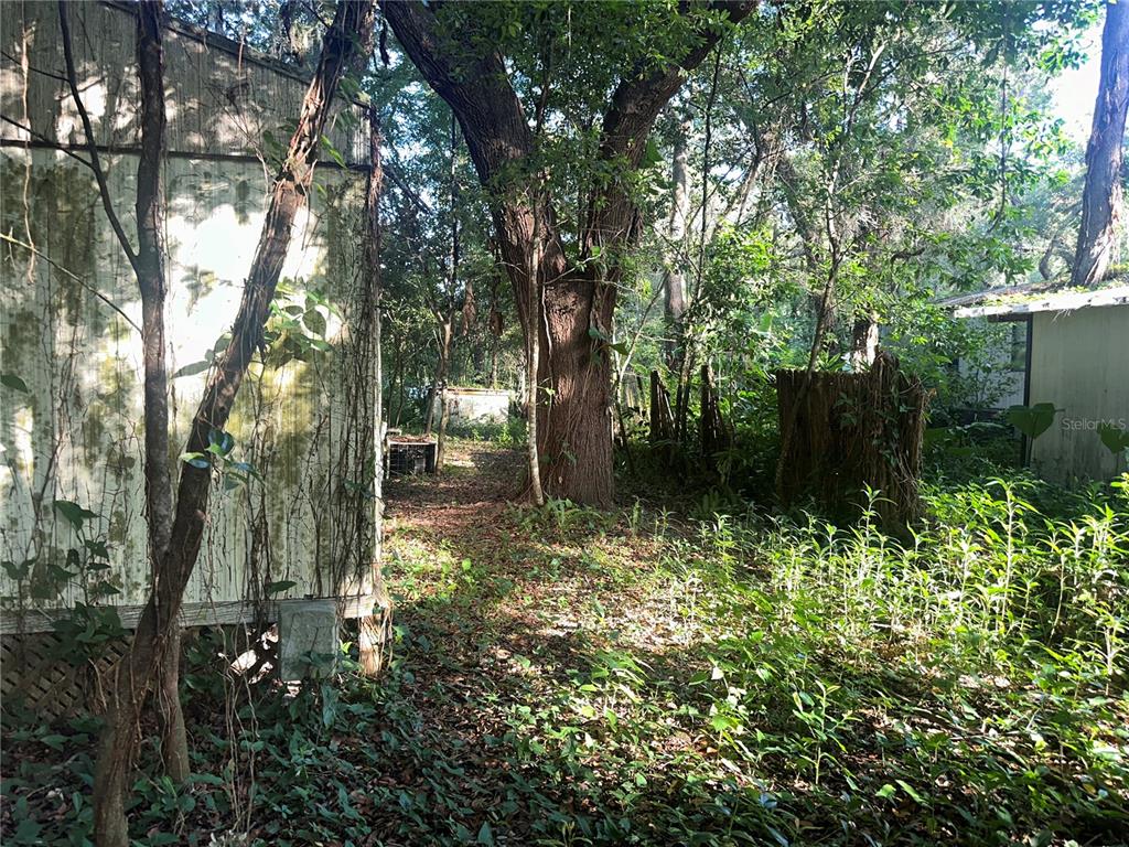 An exterior view shows a weathered mobile home beside a large tree and overgrown vegetation — 1128 N JACKSON AVENUE S, SPRING HILL, FL