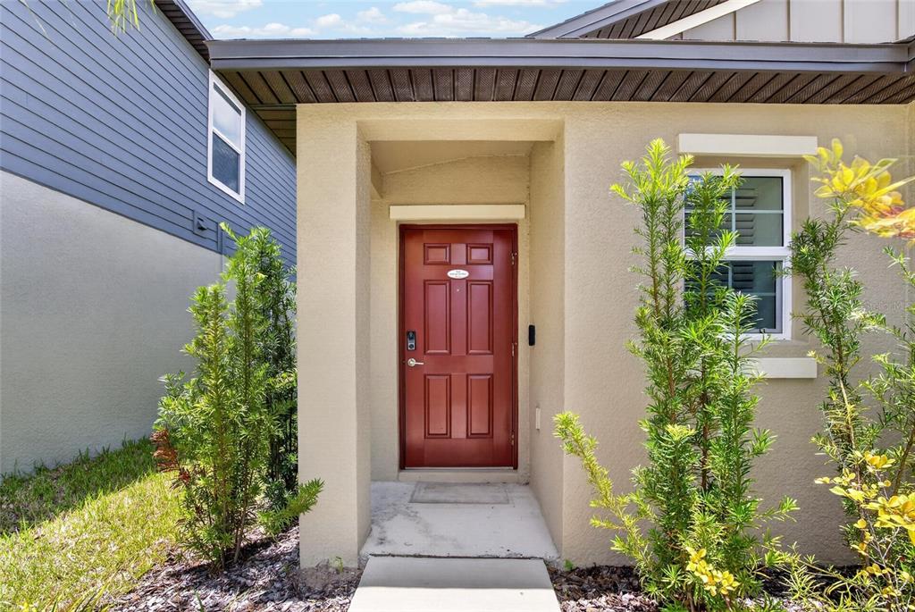 The exterior entrance features a red front door, a concrete walkway, and small green shrubs — 12643 MAPLE BONSAI DRIVE, RIVERVIEW, FL