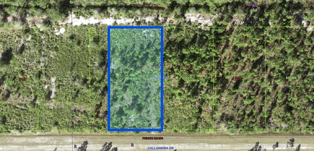 This is an aerial map view of a rectangular, wooded vacant lot on Calliandra Drive — 1024 CALLIANDRA DRIVE, INDIAN LAKE ESTATES, FL
