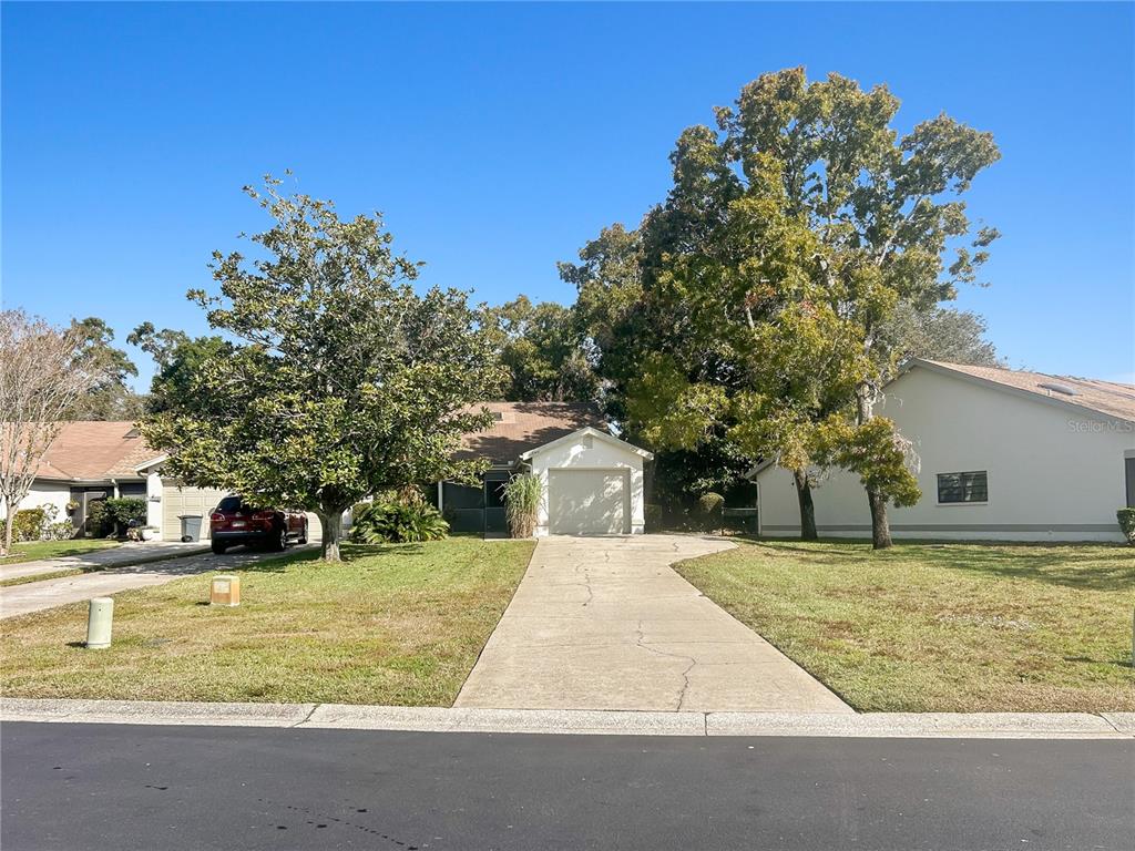 11746 SPRING TREE LANE