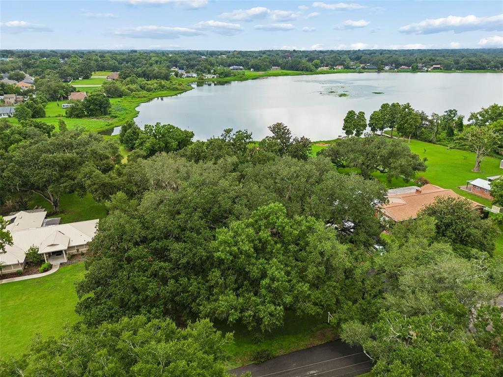 An aerial view shows a lake surrounded by trees, green lawns, and several residential houses — 1904 CAPRI ROAD, VALRICO, FL