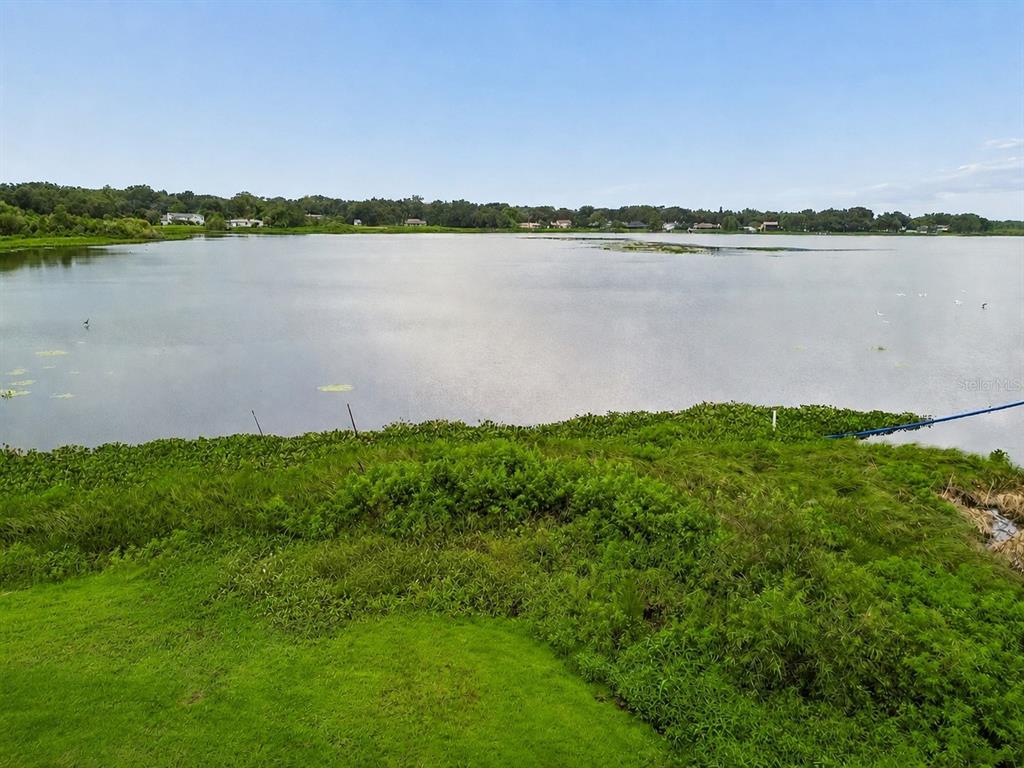 A view of a lake from a grassy, overgrown shoreline under a clear blue sky — 1904 CAPRI ROAD, VALRICO, FL