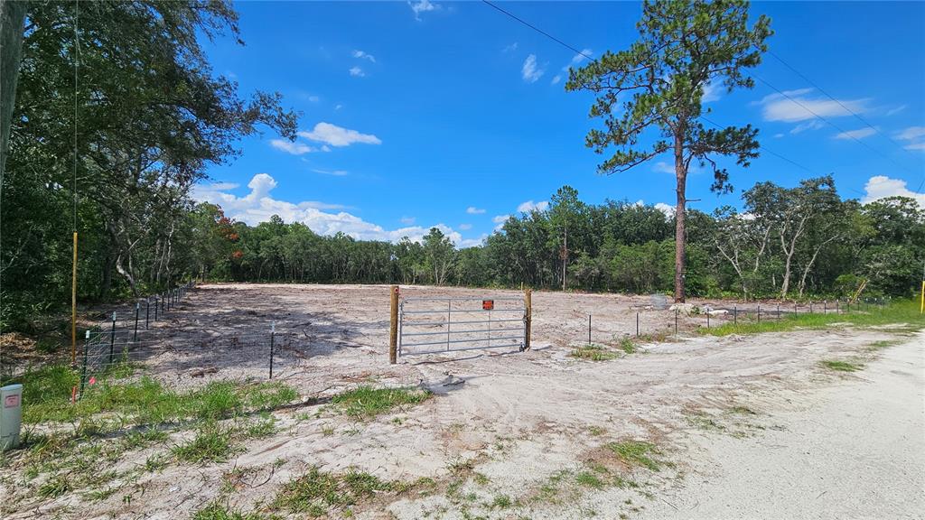 35391 OVERCUP DRIVE, WEBSTER, FL — photo 2 of 16