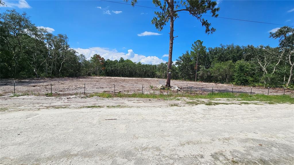 35391 OVERCUP DRIVE, WEBSTER, FL — photo 3 of 16