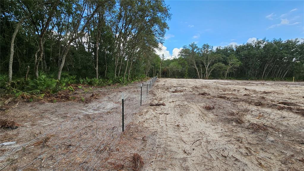 35391 OVERCUP DRIVE, WEBSTER, FL — photo 4 of 16