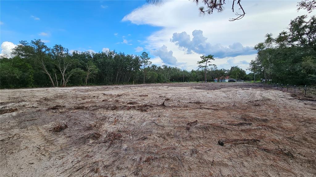 35391 OVERCUP DRIVE, WEBSTER, FL — photo 5 of 16
