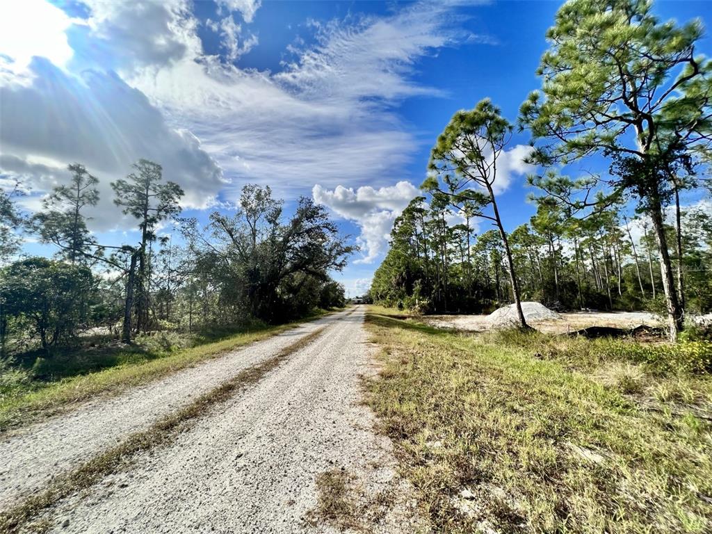 A dirt road runs between a wooded area and a cleared lot with pine trees — 27076 BADGER DRIVE, PUNTA GORDA, FL