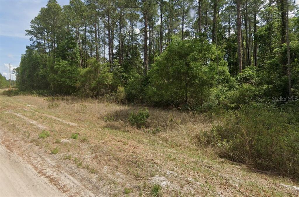 A dirt road runs alongside a wooded, undeveloped lot with tall pine trees — 136 SHOREWOOD STREET, GEORGETOWN, FL
