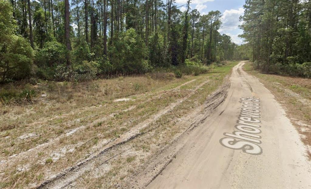 A dirt road runs alongside a grassy, wooded lot under a bright, partly cloudy sky — 136 SHOREWOOD STREET, GEORGETOWN, FL