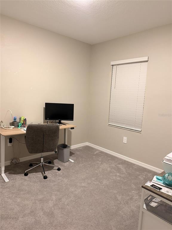 A home office features a desk, a gray chair, and a window with blinds — 10805 FANNING SPRINGS COURT, TAMPA, FL