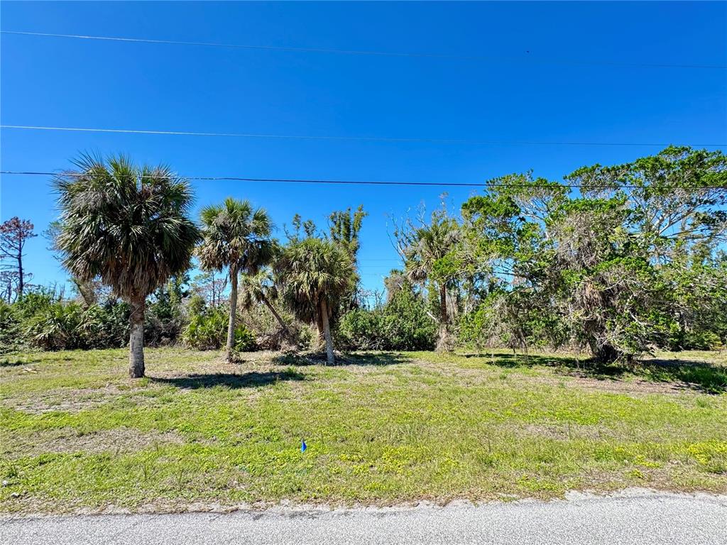 50 COBIA DRIVE, PLACIDA, FL — photo 3 of 8