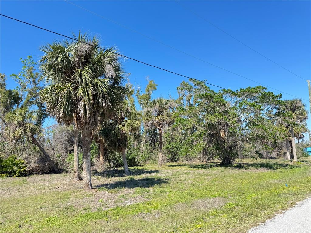 50 COBIA DRIVE, PLACIDA, FL — photo 5 of 8