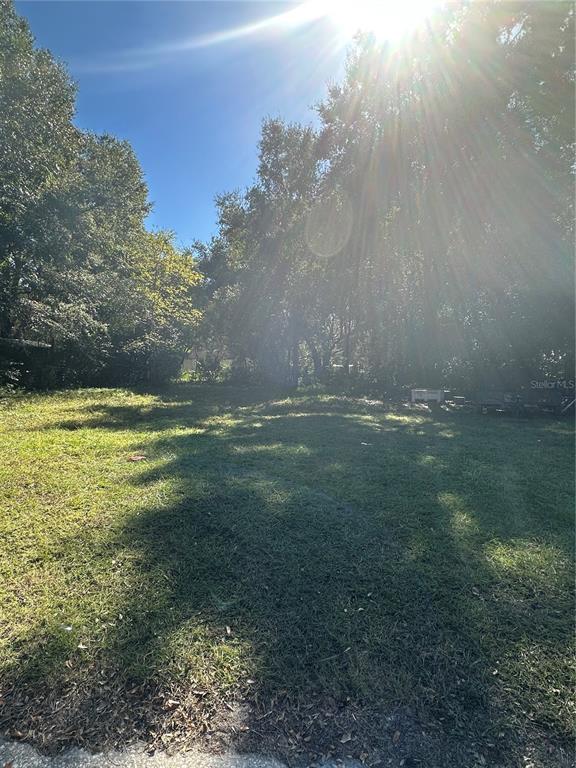 A grassy, sunlit vacant lot is surrounded by mature trees under a bright sky — 1212 SW FORT KING STREET, OCALA, FL