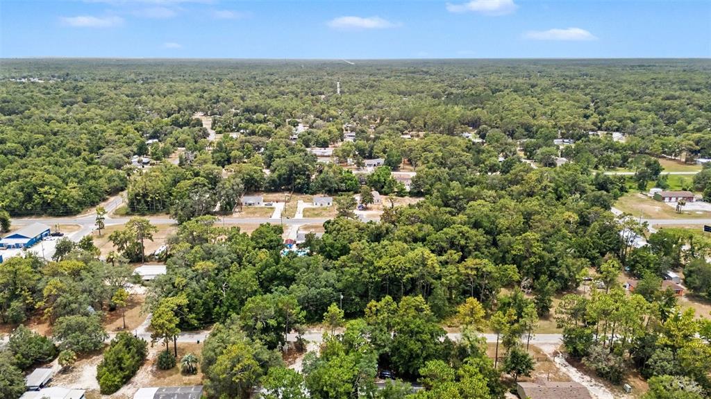 An aerial view shows a residential area with scattered houses surrounded by dense green trees — 7078 W LINCOLN LANE, HOMOSASSA, FL