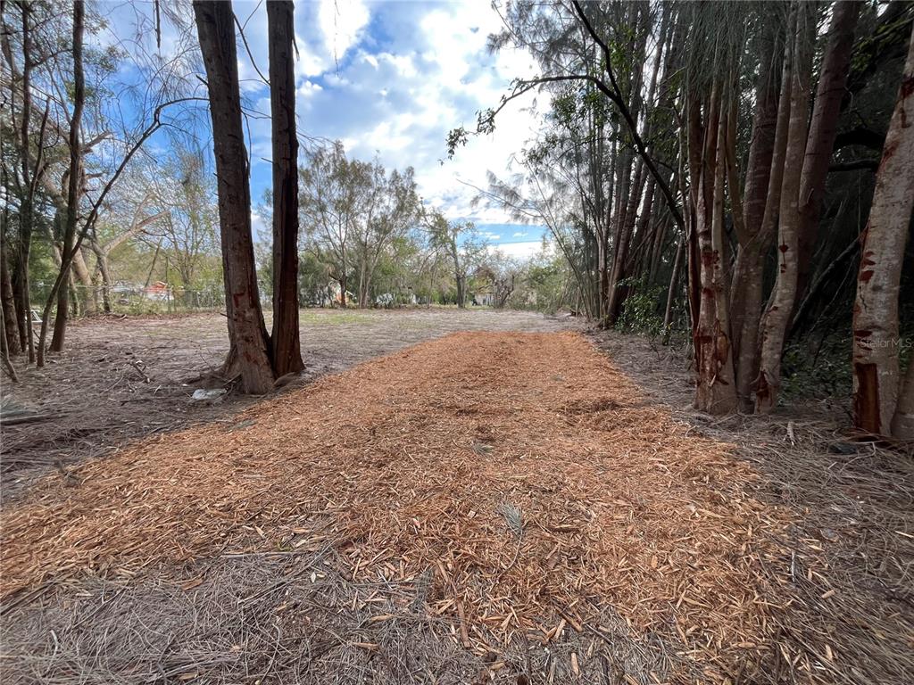 A cleared, mulched path leads through a wooded lot toward a distant residential area — 3701 FOURNIER AVENUE, MOUNT DORA, FL