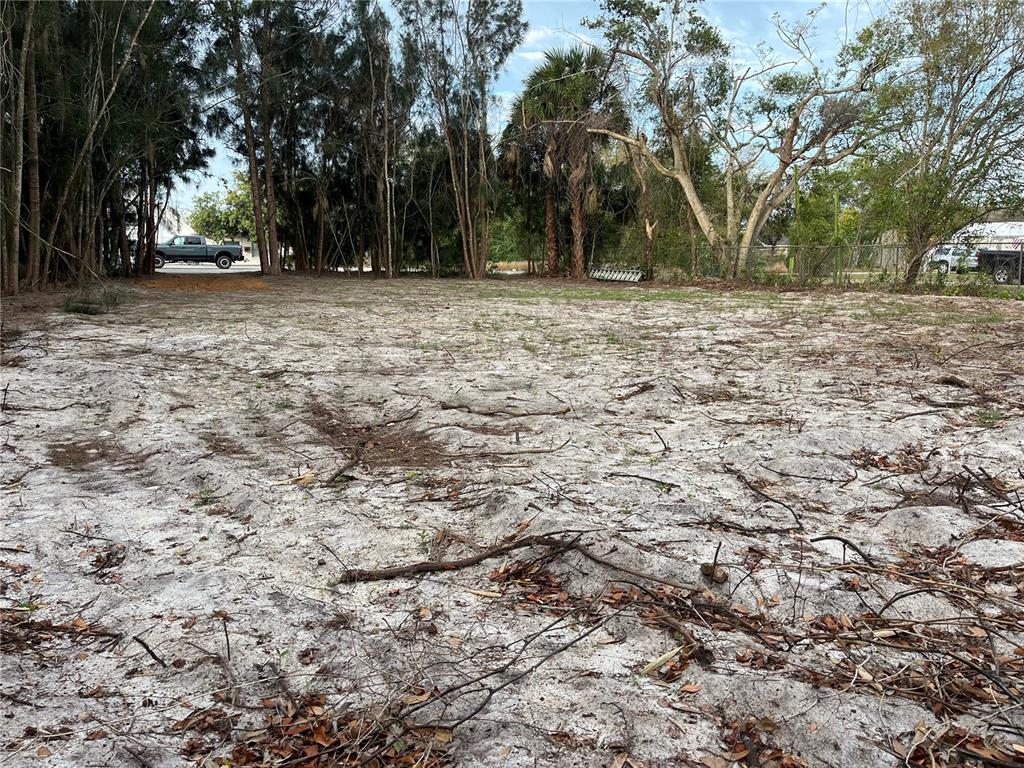 A flat, sandy, cleared lot is surrounded by trees and foliage — 3701 FOURNIER AVENUE, MOUNT DORA, FL
