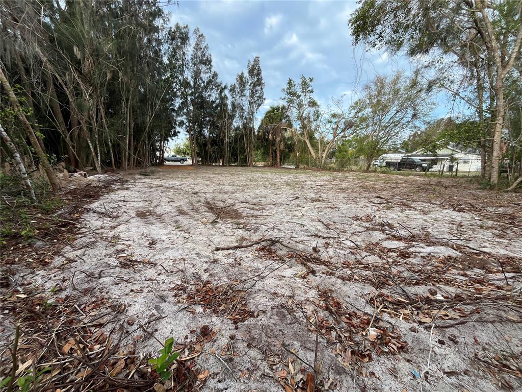 A cleared, sandy residential lot is surrounded by trees under a cloudy sky — 3701 FOURNIER AVENUE, MOUNT DORA, FL