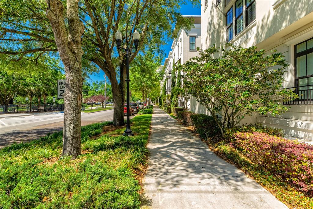 A sidewalk runs alongside a row of townhouses, trees, and a street lamp — 653 E JACKSON STREET, ORLANDO, FL