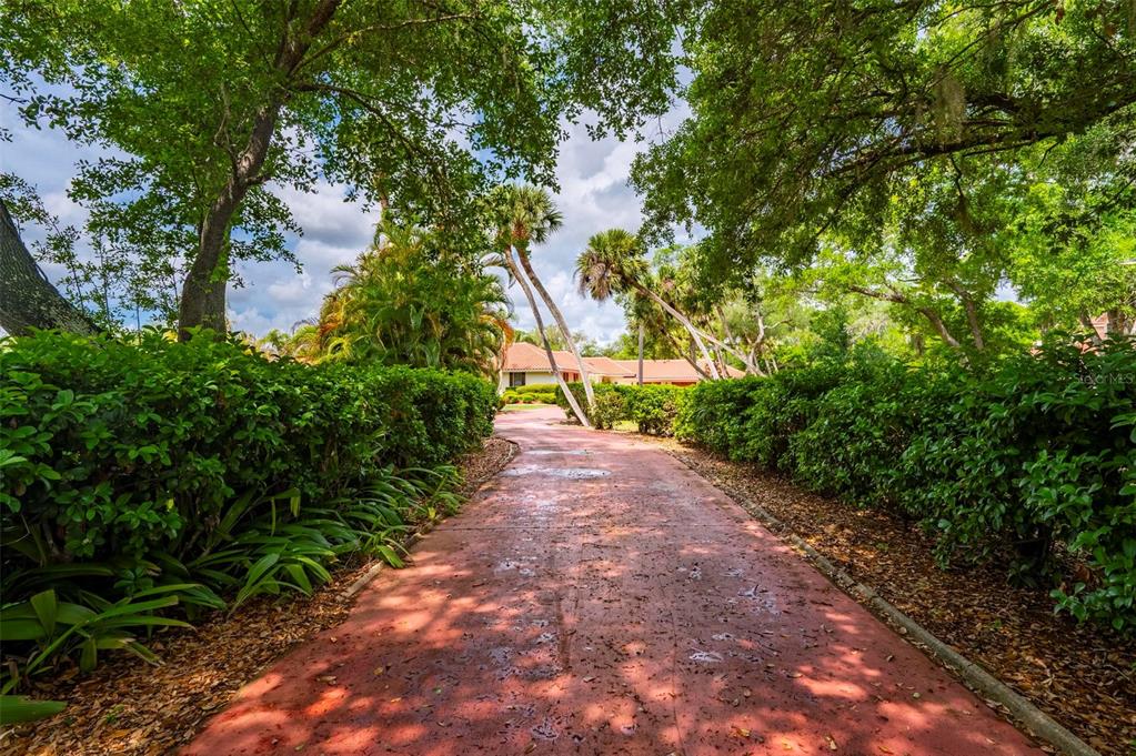 A paved driveway leads through lush landscaping toward a single-story house under a cloudy sky — 1105 YORKSHIRE STREET, PORT CHARLOTTE, FL