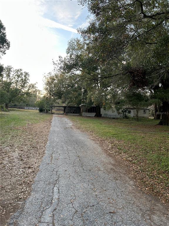 A long, cracked asphalt driveway leads toward a house shaded by large, mature trees — 3633 APFEL ROAD, WESLEY CHAPEL, FL