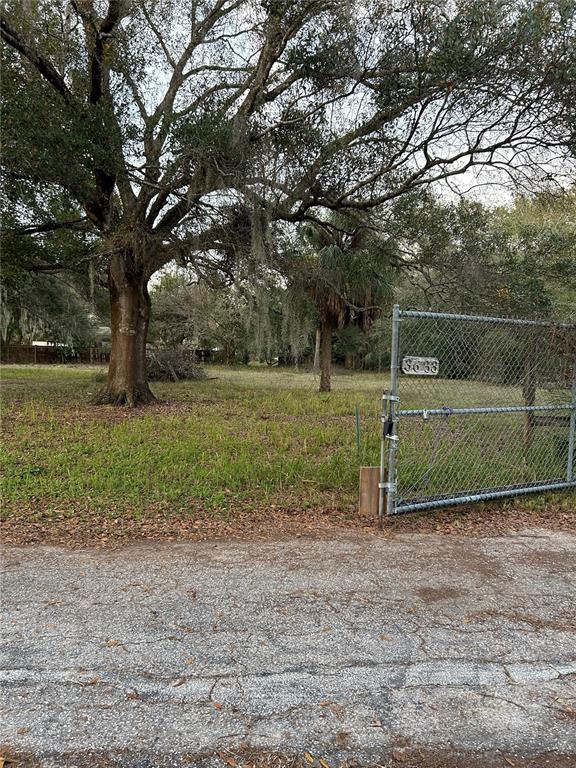 A chain-link gate opens to a grassy, tree-filled vacant lot along a paved road — 3633 APFEL ROAD, WESLEY CHAPEL, FL