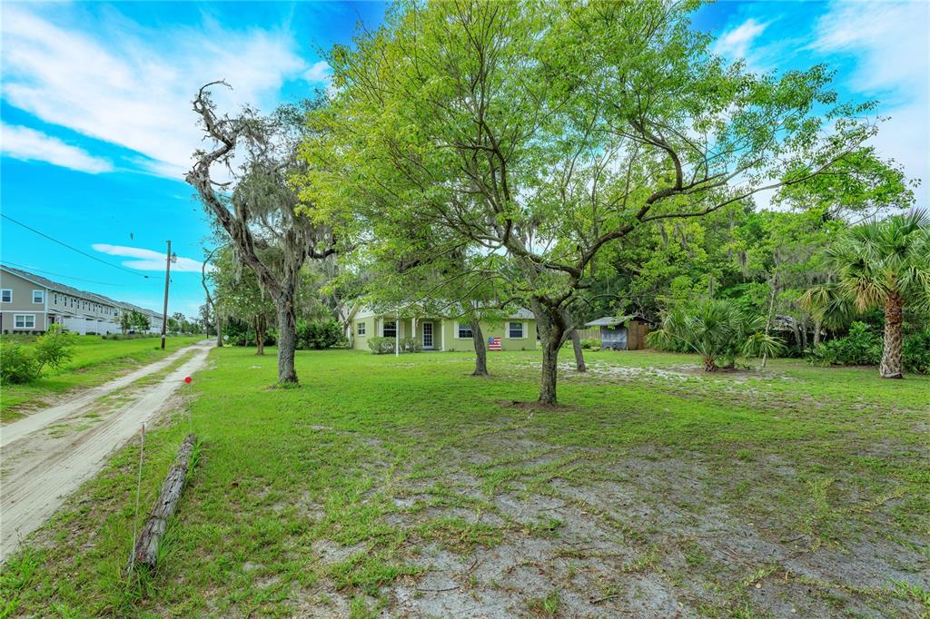 A light green house sits on a grassy lot with large trees and a dirt path — 1909 N LAKEWOOD AVENUE, OCOEE, FL