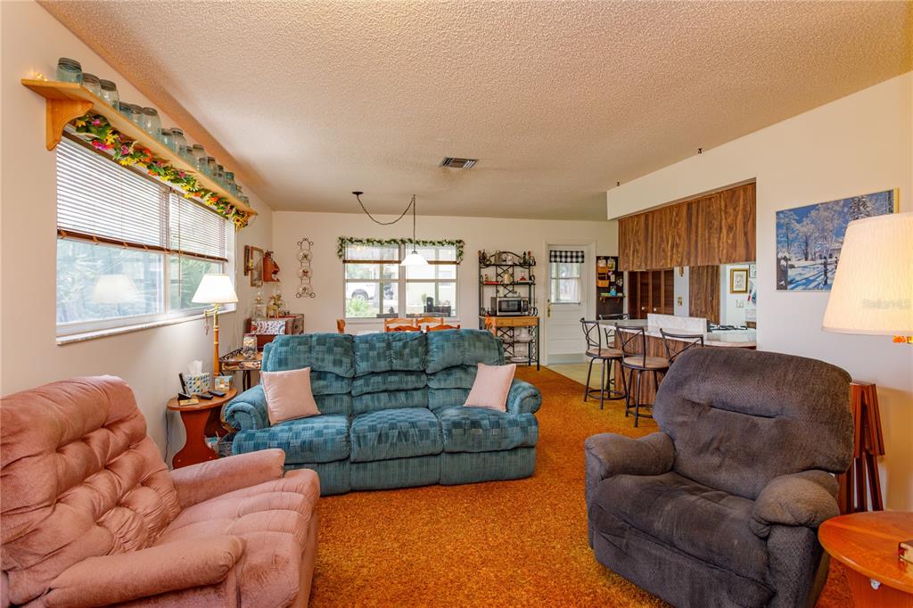 A living room features orange carpeting, a blue sofa, and a pink recliner — 1909 N LAKEWOOD AVENUE, OCOEE, FL