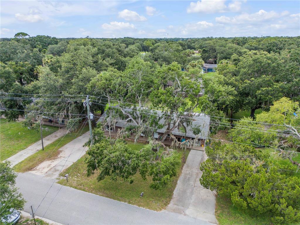 An aerial view shows a single-story house with a driveway surrounded by large oak trees — 1205 16TH STREET, EDGEWATER, FL