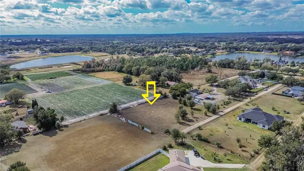 13415 COCOPAH LANE, DOVER, FL — photo 3 of 13
