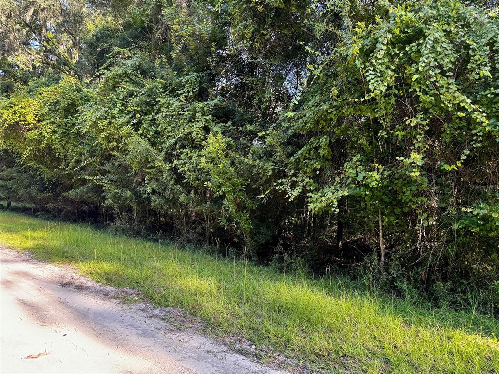 SW FOX PLACE Lots 38 & 39, FORT WHITE, FL — photo 2 of 15