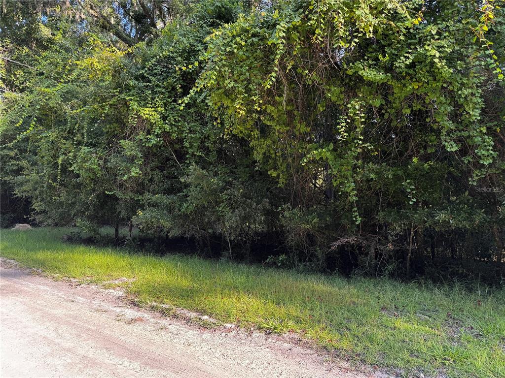 SW FOX PLACE Lots 38 & 39, FORT WHITE, FL — photo 3 of 15