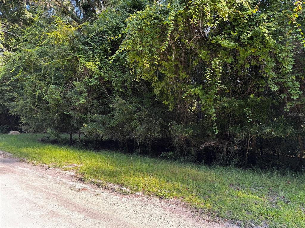 SW FOX PLACE Lots 38 & 39, FORT WHITE, FL — photo 4 of 15