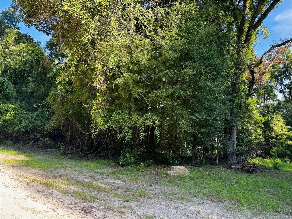 SW FOX PLACE Lots 38 & 39, FORT WHITE, FL — photo 5 of 15