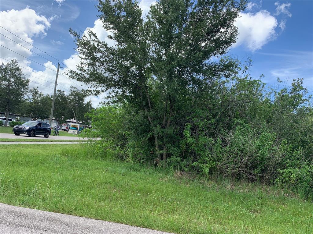A grassy lot features a large tree and dense bushes beside a paved road — 2035 LOVELAND BOULEVARD, PORT CHARLOTTE, FL