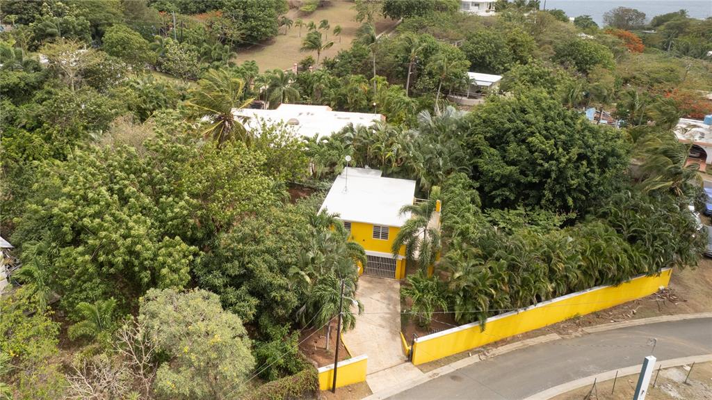An aerial view shows a yellow two-story house surrounded by lush trees and a wall — 615 BRAVOS DE BOSTON, VIEQUES, PR