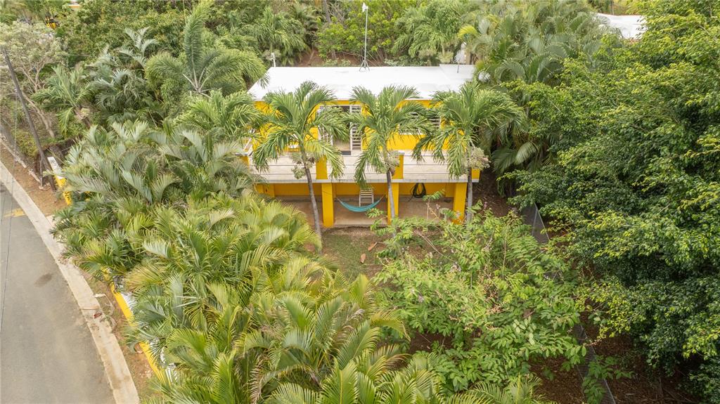 An elevated yellow house is surrounded by lush tropical trees and vegetation — 615 BRAVOS DE BOSTON, VIEQUES, PR