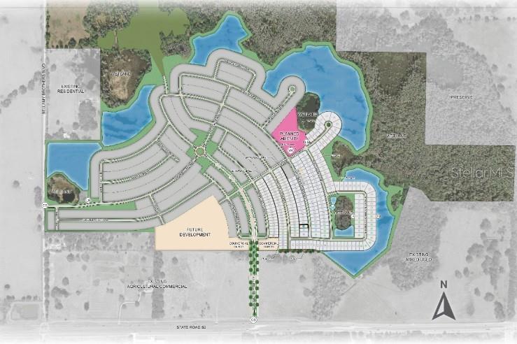 This is a site plan rendering for a residential development with roads, lots, and wetlands — 12844 TREELINE RIDGE AVENUE, SAN ANTONIO, FL