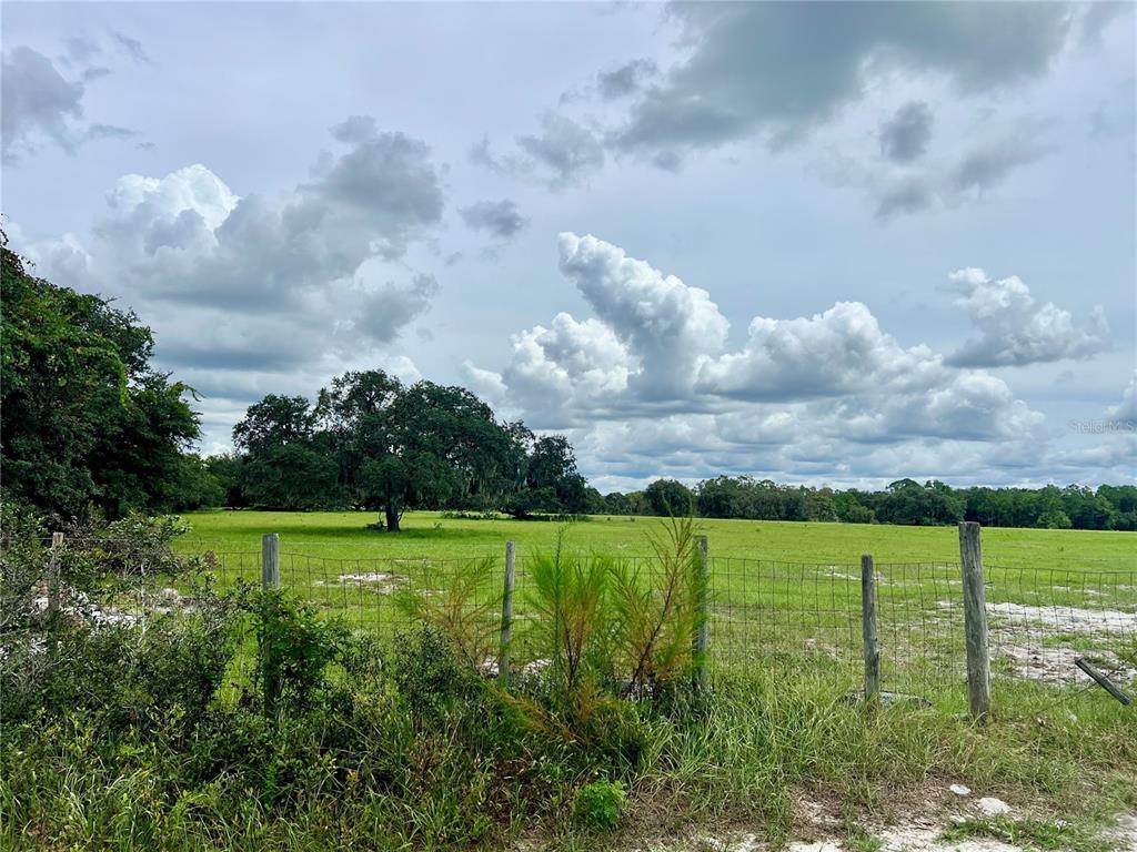 ALTURAS BABSON PARK CUT-OFF, BARTOW, FL — photo 2 of 13