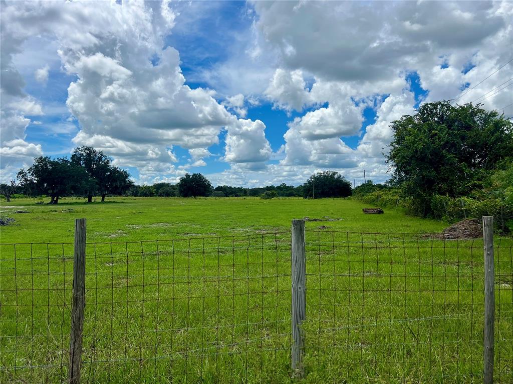 ALTURAS BABSON PARK CUT-OFF, BARTOW, FL — photo 4 of 13