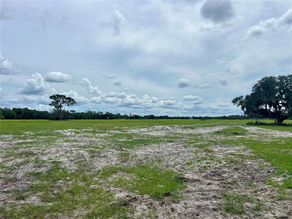 ALTURAS BABSON PARK CUT-OFF, BARTOW, FL — photo 5 of 13