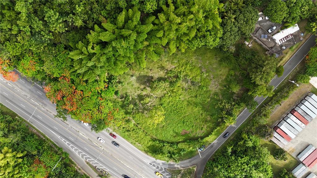 An aerial view shows a vacant, grassy lot bordered by two roads and dense trees — PR 2 KM 175.4, SAN GERMAN, PR