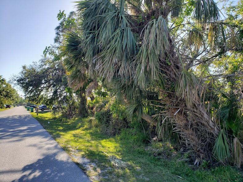 A paved road runs alongside a grassy area with a large, leaning palm tree — 928 TROPICAL AVENUE NW, PORT CHARLOTTE, FL