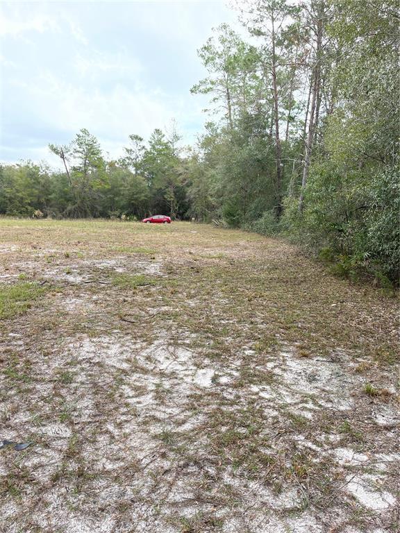 A flat, sandy, partially cleared lot is bordered by a dense line of trees — 00 NE 108TH COURT, BRONSON, FL