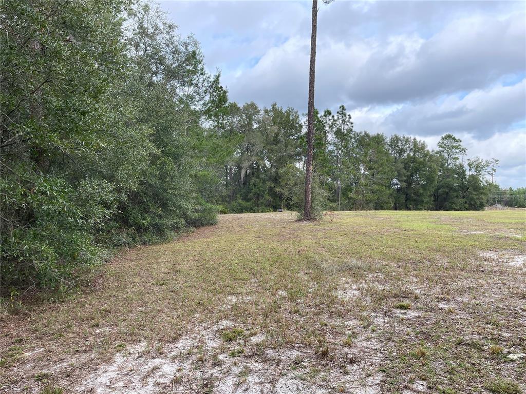 A grassy, partially cleared lot features scattered trees and a dense forest border — 00 NE 108TH COURT, BRONSON, FL